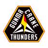 群马雷鹤